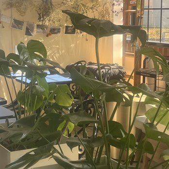 Dolce Vita - Gelato Near Me - Oxnard, California Dolce Vita - Gelato Near Me - Oxnard, California
