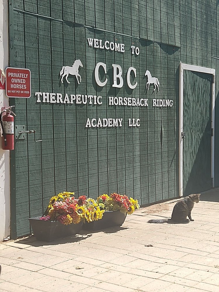 CBC EQUINE THERAPEUTIC RIDING Updated October 2024 14 Photos