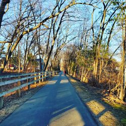 Bruce Freeman Rail Trail - Between chelmsford and westford