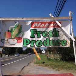 Moholt Produce - Signage.