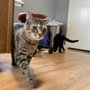 Photo of Homeward Bound Animal Hospital and Mobile Veterinary Clinic