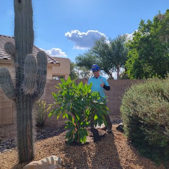 Moon Valley Nurseries - Nurseries & Gardening Near Me - Avondale, Arizona Moon Valley Nurseries - Nurseries & Gardening Near Me - Avondale, Arizona