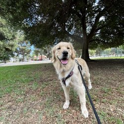 James Isaacs, DVM - Low-Cost Pet Vaccines of Southern California - Big smile!