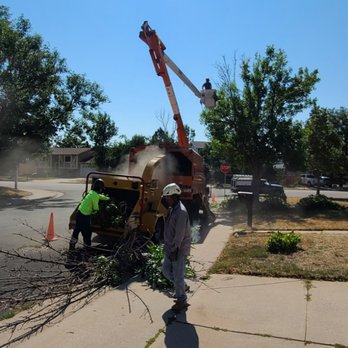 Green Mountain Tree Service - Prices always include cleanup and disposal; no hidden or extra fees! - Tree Services Near Me Green Mountain Tree Service - Prices always include cleanup and disposal; no hidden or extra fees! - Tree Services Near Me