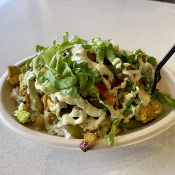 The Mexican Camel - Chicken fusion owl was good - Mediterranean Near Me - Orlando, Florida The Mexican Camel - Chicken fusion owl was good - Mediterranean Near Me - Orlando, Florida