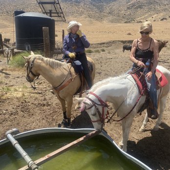 Lazy T Ranch - Trail ride - Venues & Event Spaces Near Me - Leona Valley, California Lazy T Ranch - Trail ride - Venues & Event Spaces Near Me - Leona Valley, California