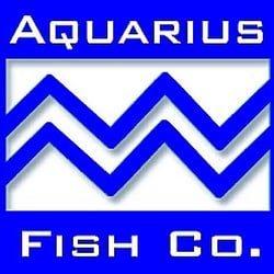 Aquarius Fish - Credit: http://www.aquariusfish.com/