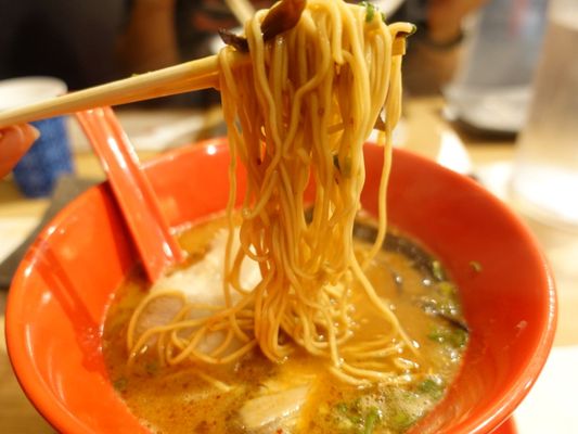 Golden Pork Tonkotsu Ramen Bar by null