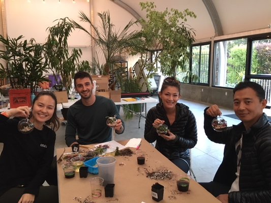 Cole Fox Hardware by null