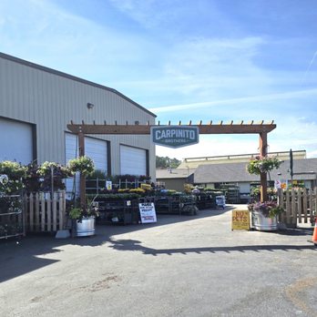 Carpinito Brothers - Entrance here - Nurseries & Gardening Near Me - Kent, Washington Carpinito Brothers - Entrance here - Nurseries & Gardening Near Me - Kent, Washington