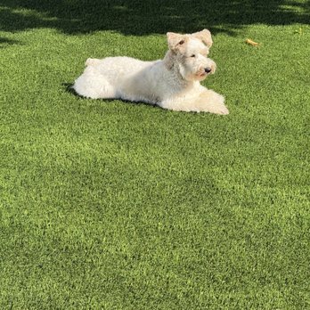 SmartGrass - New smartgrass installed - Artificial Turf Near Me - Manhattan Beach, California
