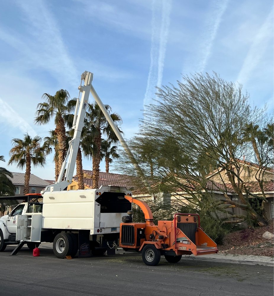RedGator Tree Trimmin' and Landscape - tree service in Las Vegas, NV