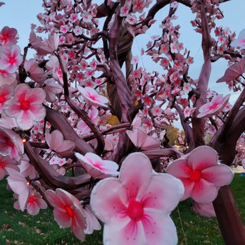 China Lights Wisconsin - Blossom tree - Festivals Near Me - Hales Corners, Wisconsin China Lights Wisconsin - Blossom tree - Festivals Near Me - Hales Corners, Wisconsin
