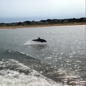 Rudee Tours - Tours Near Me - Virginia Beach, Virginia Rudee Tours - Tours Near Me - Virginia Beach, Virginia