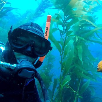 Cal Boat Diving - Snorkeling Near Me - Ventura, California Cal Boat Diving - Snorkeling Near Me - Ventura, California