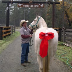 Whitehorse Ranch & Feed