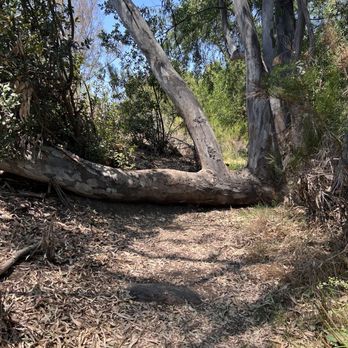 Greenbelt Hiking Trail - Fun hike - Hiking Near Me - San Diego, California Greenbelt Hiking Trail - Fun hike - Hiking Near Me - San Diego, California