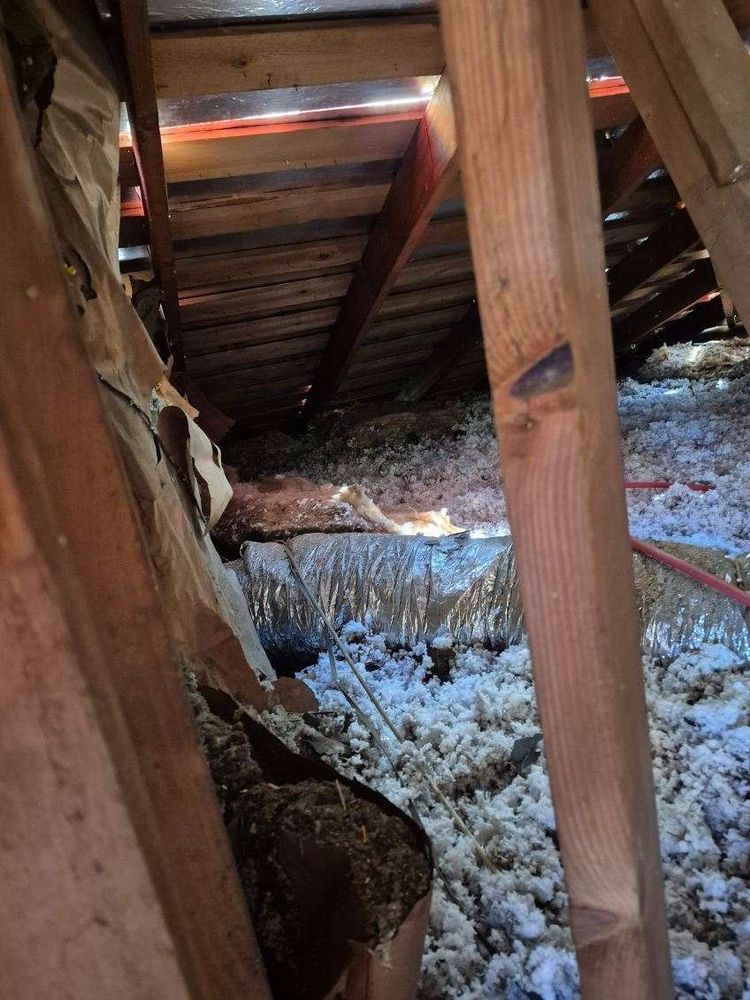 Slide of Spikes Roofing