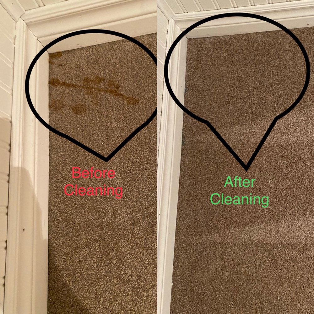 AZ CITY CLEAN Updated September 2024 64 Photos 17 Whispering Willow Pathway, Scarborough