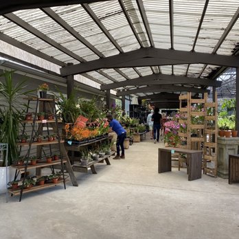 Perfect Choice Nursery - Nurseries & Gardening Near Me - Southwest Ranches, Florida Perfect Choice Nursery - Nurseries & Gardening Near Me - Southwest Ranches, Florida