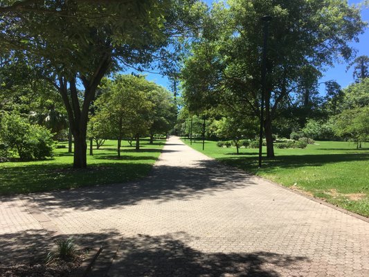 City Botanic Gardens by null