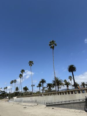 Butterfly Beach by null