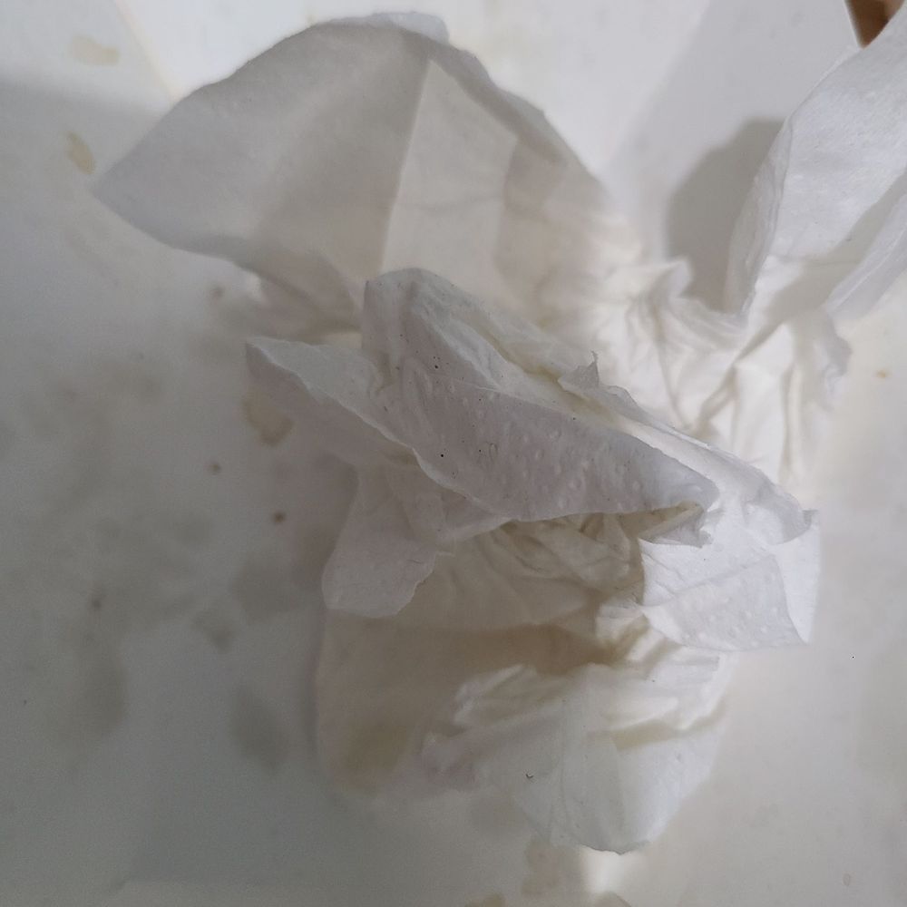 White Turkey Drive-In - That's all there is left! I'll get the food next time! - Burgers Near Me - Conneaut, Ohio White Turkey Drive-In - That's all there is left! I'll get the food next time! - Burgers Near Me - Conneaut, Ohio