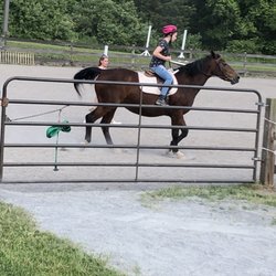 Whispering Lake Equestrian
