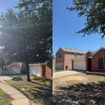 Crimson Oaks - Before and after of tree removal and stump grinding. - Tree Services Near Me - Springtown, Texas Crimson Oaks - Before and after of tree removal and stump grinding. - Tree Services Near Me - Springtown, Texas