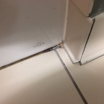 DoubleTree by Hilton - Mildew all over the tub - Hotels Near Me - Orlando, Florida