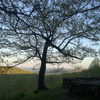 Monte Sano State Park - 03-26-12; Monte Sano State Park [Pretty tree], Huntsville, AL - Parks Near Me - Huntsville, Alabama