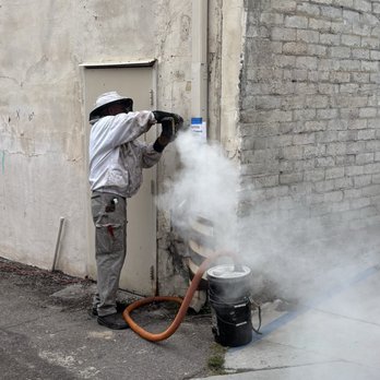 Aliza's Bee Removal - Cutting open the wall to access the hive for removal - Pest Control Near Me - Poway, California