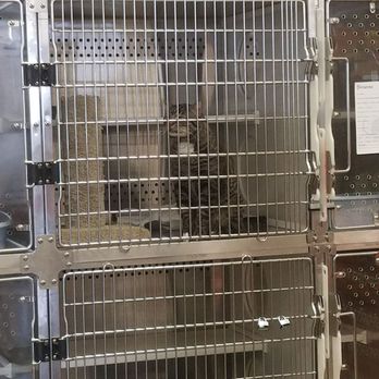 Petsense - Pet Groomers Near Me - Rio Rancho, New Mexico
