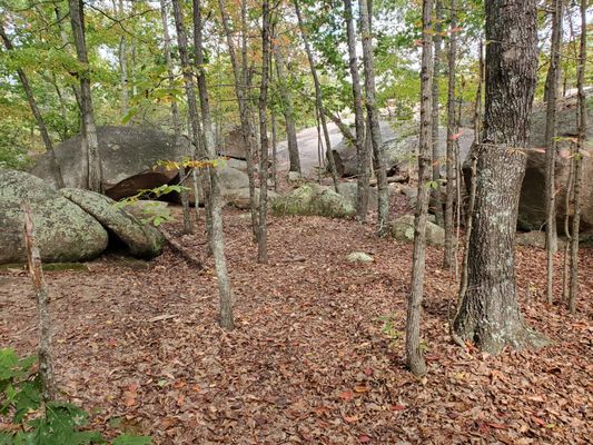 Elephant Rocks State Park by null