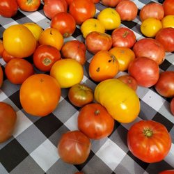 Carroll Gardens Greenmarket