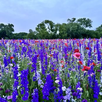 Crowley Park - Parks Near Me - Richardson, Texas