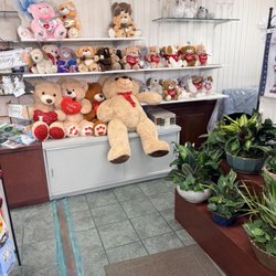 Bears