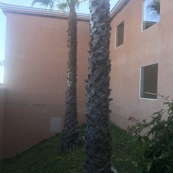 San Luis Bay Inn - "Court yard" - Hotels Near Me - Avila Beach, California San Luis Bay Inn - "Court yard" - Hotels Near Me - Avila Beach, California
