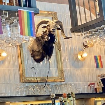 Social Misfits - Maximalist Decor - Coffee & Tea Near Me - Grand Rapids, Michigan Social Misfits - Maximalist Decor - Coffee & Tea Near Me - Grand Rapids, Michigan