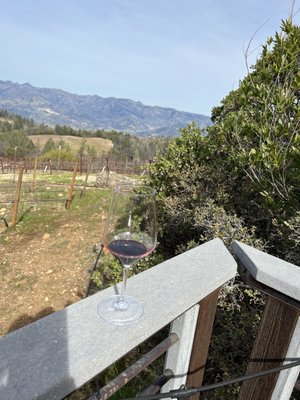 terra valentine winery by null