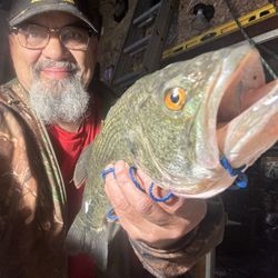 Fruitridge Bait & Tackle - Lake Amador