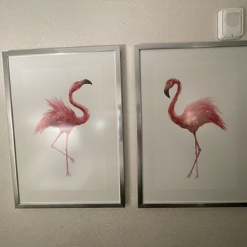 Flamingo Las Vegas - Hotels Near Me - Las Vegas, Nevada
