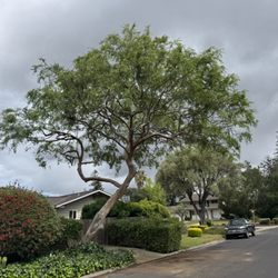 L & T Tree Service - Lifting and a big weight reduction.