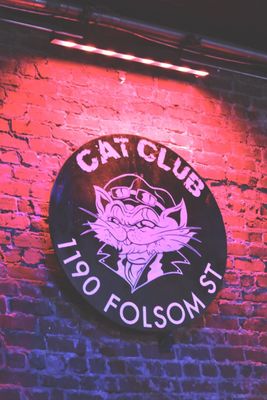 Cat Club by null