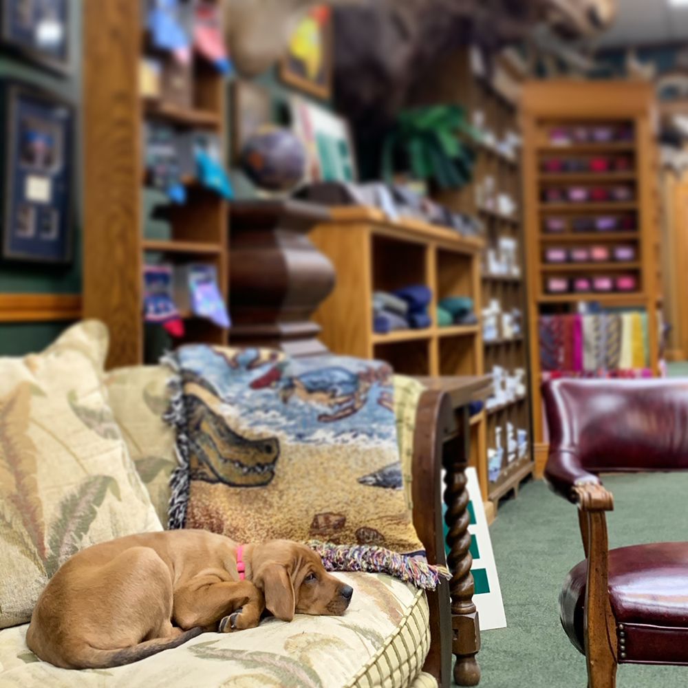 MCLAVY Updated July 2024 16 Photos 7665 Jefferson Hwy, Baton