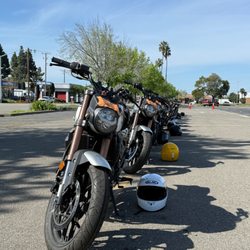 NorCal Moto - Lineup of rental motorcycles and gear.