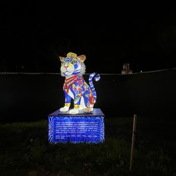 CHINESE LANTERN FESTIVAL - Updated January 2026 - 1124 Photos & 96