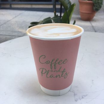 Coffee and Plants - Mocha latte - Coffee & Tea Near Me - Pasadena, California