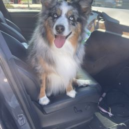 Stinky isn't stinky anymore! Stinky isn't stinky anymore!