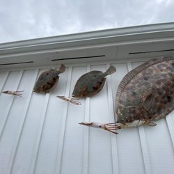 Lighthouse Seafood
